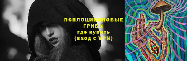 2c-b Гусев