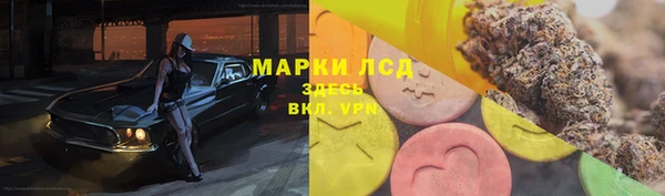 2c-b Гусев