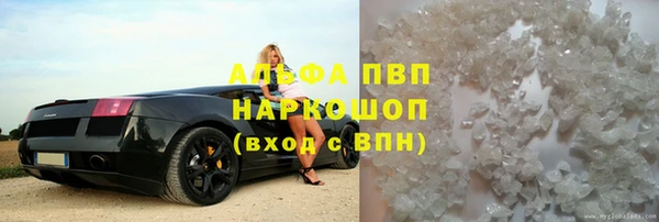 ПСИЛОЦИБИНОВЫЕ ГРИБЫ Гусиноозёрск