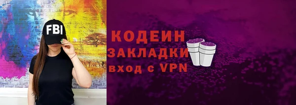 2c-b Гусев
