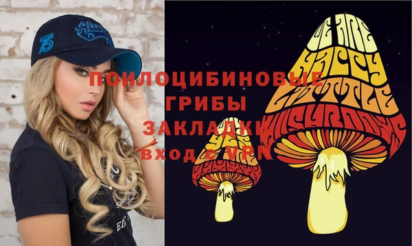 2c-b Гусев