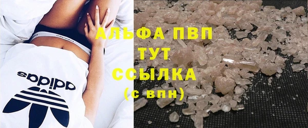 ПСИЛОЦИБИНОВЫЕ ГРИБЫ Гусиноозёрск