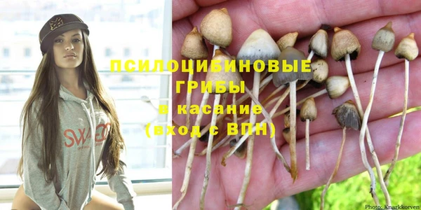 ПСИЛОЦИБИНОВЫЕ ГРИБЫ Гусиноозёрск