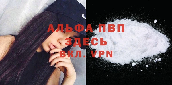 ПСИЛОЦИБИНОВЫЕ ГРИБЫ Гусиноозёрск