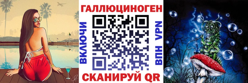 Псилоцибиновые грибы Psilocybe  Макарьев 